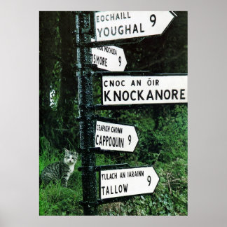 kat op poster van 9 mijl