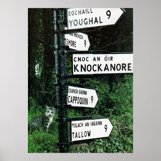 kat op poster van 9 mijl (Voorkant)