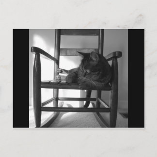 Kat op rotsen briefkaart