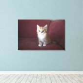 Kat op sofa canvas afdruk (Insitu (Houten vloer))