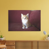 Kat op sofa canvas afdruk (Insitu (Woonkamer))