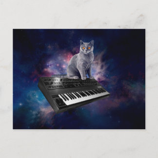 Kat op synthesizer in de ruimte briefkaart