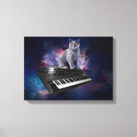Kat op synthesizer in de ruimte
