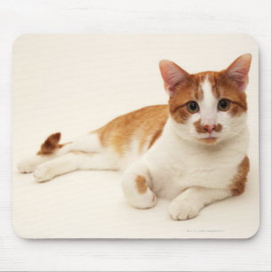 Kat op witte achtergrond muismat