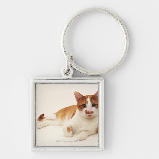 Kat op witte achtergrond sleutelhanger (Voorkant)