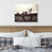 Kat op zak canvas afdruk (Insitu (Slaapkamer))