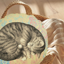 Kat opgekruld slapen op quilt schattig gezellig