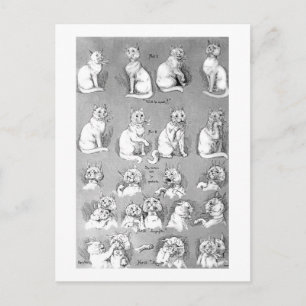 Kat, opleiding en huwelijk, Bride, Louis Wain Briefkaart