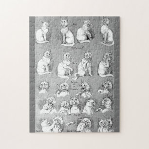 Kat, opleiding en huwelijk, Bride, Louis Wain Legpuzzel