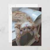 Kat opnieuw plaatsen briefkaart (Voorkant / Achterkant)