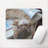 Kat opnieuw plaatsen muismat (Met muis)