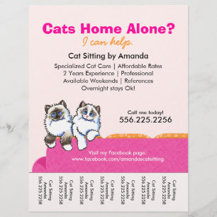 Kat Oppasser Advertentie Ragdoll Roze Bank Traanve Flyer