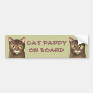 Kat papa aan boord bumpersticker