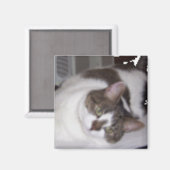 Kat Paperweight Magnet Magneet (Voorkant / Achterkant)