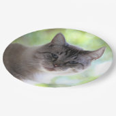 Kat Papieren Bordje (Gekanteld)