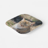 Kat Papieren Bordje (Gebogen)