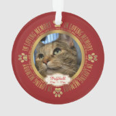 Kat Pet in Loing Memory Memorial Keepslag Ornament (achterkant)