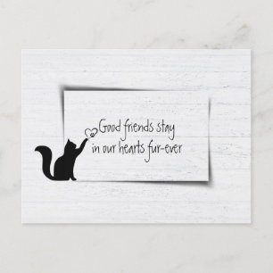 Kat Pet verloor sympathie van de dierenarts Briefkaart