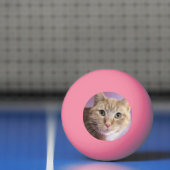 Kat Pingpongballen (Net)