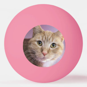 Kat Pingpongballen