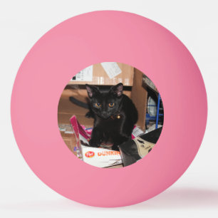 Kat Pingpongballen