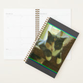 Kat Planner (Display)