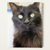 Kat Planner (Achterkant)