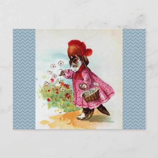 Kat-plukkers Briefkaart (Voorkant)