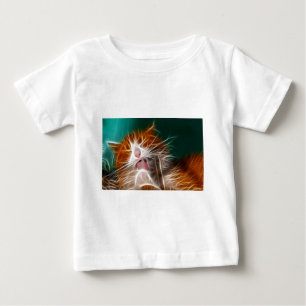 kat poesje katjes schattig huisdier spinnen miauw
