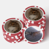 Kat Poker Chips (Opstapeling)