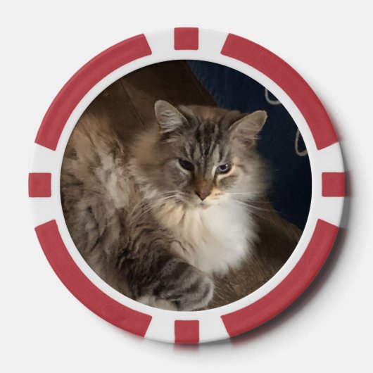 Kat Poker Chips (Voorkant)