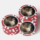 Kat Poker Chips (Opstapeling)