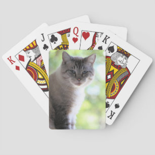 Kat Pokerkaarten