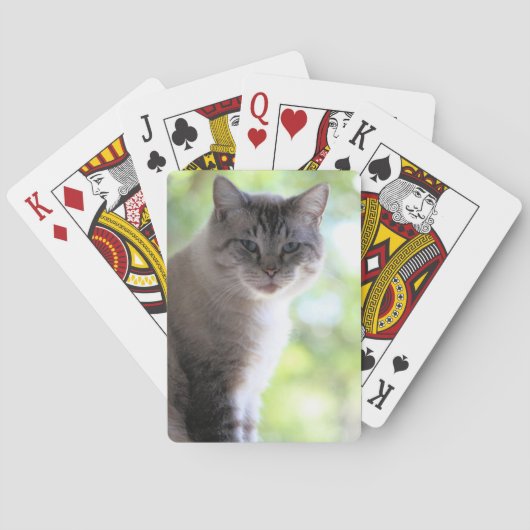 Kat Pokerkaarten (Achterkant)