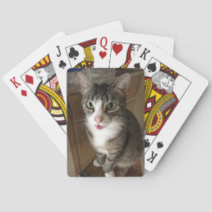 Kat Pokerkaarten