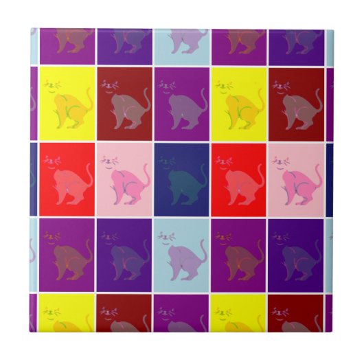 Kat-pop glimlachen tegeltje (Voorkant)