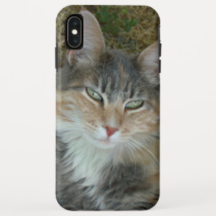 Kat portret 😺 telefoondraagtas iPhone XS max hoesje