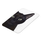 Kat, portret van Gus Magneet (Linkerzijde)