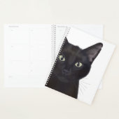Kat, portret van Gus Planner (Display)