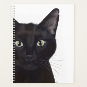 Kat, portret van Gus Planner
