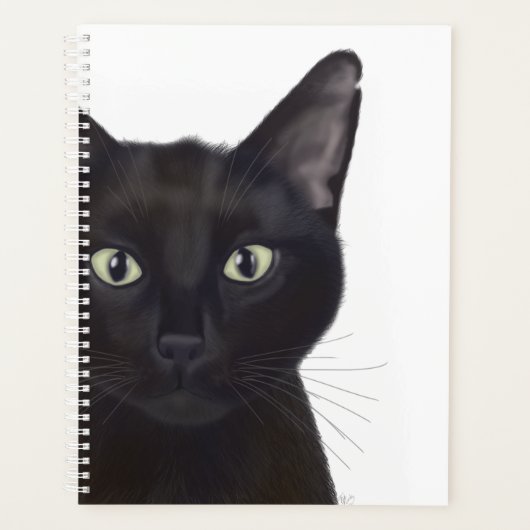 Kat, portret van Gus Planner (Voorkant)