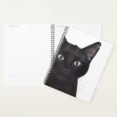 Kat, portret van Gus Planner (Display)