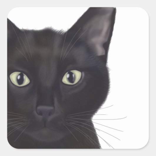 Kat, portret van Gus Vierkante Sticker (Voorkant)