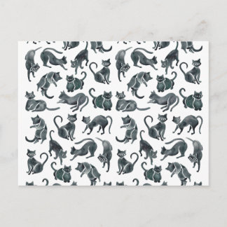 Kat Posities - Zwart palet Briefkaart