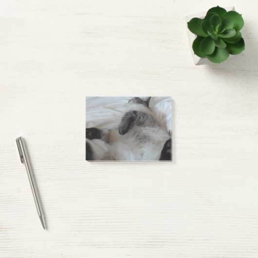 Kat Post-it® Notes (Kantoor)