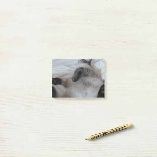 Kat Post-it® Notes (Op bureau)