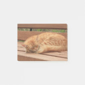 Kat Post-it® Notes (Voorkant)