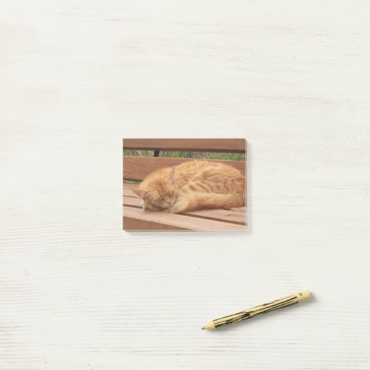 Kat Post-it® Notes (Op bureau)