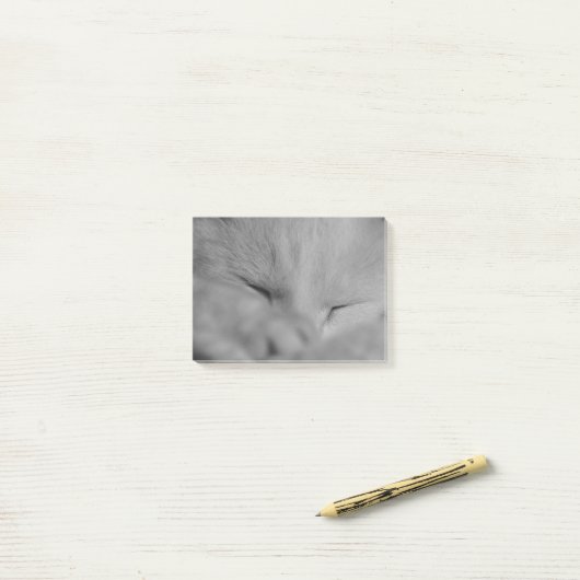 Kat Post-it® Notes (Op bureau)