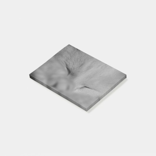 Kat Post-it® Notes (Schuin)